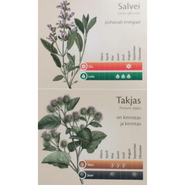 METSAMOORI RAVIMTAIMEKALENDER