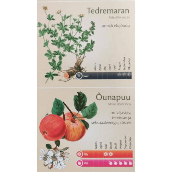 METSAMOORI RAVIMTAIMEKALENDER